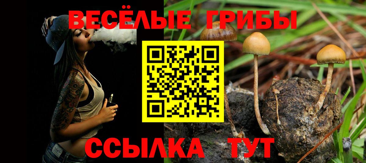 Псилоцибиновые грибы MAGIC MUSHROOMS  Вход с VPN  Усть-Джегута 
